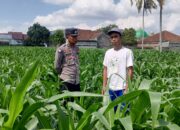 Polres Lombok Barat Dorong Kemandirian Pangan dari Pekarangan Warga Kuripan