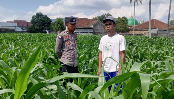 Polres Lombok Barat Dorong Kemandirian Pangan dari Pekarangan Warga Kuripan