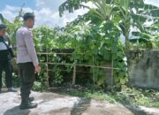 Pekarangan Produktif di Desa Perampuan: Langkah Bhabinkamtibmas Labuapi Wujudkan Kemandirian Pangan
