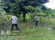 Sinergi Bhabinkamtibmas dan Warga Sumbawa, Wujudkan Ketahanan Pangan Nasional
