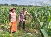 Polsek Labuapi Dorong Kemandirian Pangan Warga Karang Kebon
