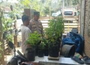 Polri Ajak Warga Desa Taman Baru Manfaatkan Pekarangan untuk Ketahanan Pangan