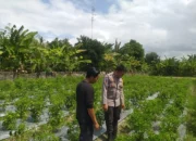 Bhabinkamtibmas Lombok Barat Ajak Warga Optimalkan Lahan untuk Ketahanan Pangan Desa