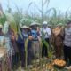 Panen Jagung di Babussalam, Polri Jadi Sahabat Petani Lombok Barat