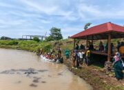 Dinas Perikanan Tebar Ribuan Benih Ikan Nila di Embung Senutuk, Warga Antusias Ikut Berpartisipasi