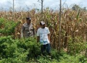 Bhabinkamtibmas Gerung Dorong Warga Manfaatkan Lahan Kosong