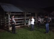 Polsek Sekotong Gencarkan KRYD, Kandang Sapi Jadi Prioritas Patroli Dini Hari