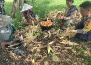 Bhabinkamtibmas Kuranji Dalang Jadi Penjaga Harga Jagung Petani