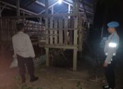 Patroli Dini Hari Polsek Lembar Gagalkan Potensi Curnak di Kandang Kumpul