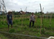 Bhabinkamtibmas Jagaraga Ajak Petani Mandiri Pangan di Lombok Barat