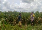 Bhabinkamtibmas Dorong Warga Jagaraga Manfaatkan Lahan Kosong