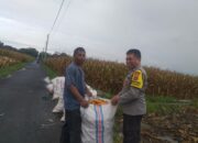 Ketahanan Pangan Lombok Barat: Peran Polsek Kuripan dan Petani