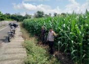 BHABINKAMTIBMAS DESA CEMPI JAYA POLSEK HU’U PERKUAT KEMITRAAN POLISI–MASYARAKAT MELALUI KEGIATAN SAMBANG