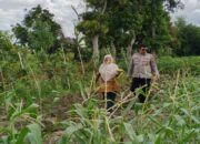 Bhabinkamtibmas Labuapi Ajak Warga Telagawaru Manfaatkan Pekarangan