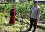 Polsek Labuapi Ubah Pekarangan Jadi ‘Lumbung Hidup’ Warga