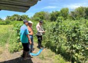 perkuat kolaborasi demi terwujudnya ketahanan pangan