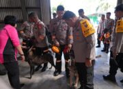 Polda Sumut Kerahkan Unit K9 untuk Percepat Pencarian Korban Banjir Bandang dan Longsor di Tapteng–Sibolga
