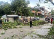 Sat Samapta Polres Bima Kota Tindaklanjuti Laporan Warga Terkait Pohon Tumbang di Kelurahan Sarae