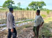 Polri Ajak Warga Lombok Barat Ubah Lahan Kosong Jadi Sumber Pangan Produktif