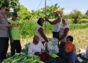 Bhabinkamtibmas Lombok Barat Sulap Pekarangan Jadi Lahan Pangan
