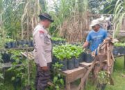 Polsek Batulayar Dorong Warga Manfaatkan Lahan Tidur di Lembahsari
