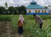 Polri Kawal Swasembada Pangan di Desa Telagawaru Lombok Barat