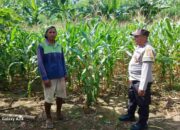 Sinergi Bhabinkamtibmas dan Petani Gerung Wujudkan Swasembada Pangan