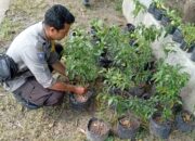 Polisi Dampingi Warga Desa Bengkel Tanam Sayur di Rumah