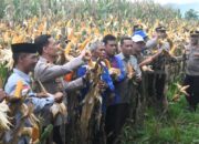 Panen Raya Jagung Serentak Kuartal I 2026 Digelar di Woja, Wujud Sinergi Dukung Ketahanan Pangan Nasional