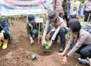 Wujud Sinergitas, Kapolres dan Bupati Sumbawa Tanam Seribu Arabika demi Kelestarian Batulanteh