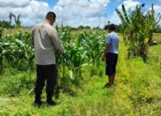 Polsek Labuapi Dorong Warga Manfaatkan Pekarangan Jadi Lumbung Pangan