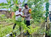 Polri Dorong Ketahanan Pangan di Desa Bajur Lombok Barat