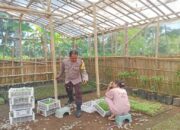 Warga Banyu Urip Lombok Barat Sulap Pekarangan Jadi Lahan Pangan