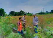 Polisi di Lombok Barat Dampingi Warga Wujudkan Swasembada Pangan