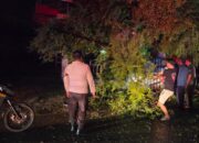 “Quick Response”Polsek Woha Evakuasi Pohon Tumbang di Jalan Lintas Bima-Tente”
