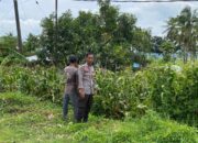 Pantau Lahan Jagung Warga, Polsek Kempo melalui Bhabinkamtibmas Dukung Ketahanan Pangan Menuju Indonesia Emas 2045