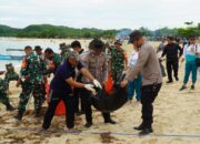 Polres Loteng Bersama TNI dan Pemda Gelar Aksi Bersih Lingkungan Pantai Aan. ‎