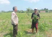 Polsek Batulayar Dorong Warga Sandik Optimalkan Lahan Demi Pangan