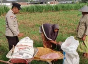 Polsek Labuapi Kawal Ketahanan Pangan di Karang Bongkot