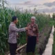 Cara Polsek Gerung Dorong Kedaulatan Pangan di Lemokek Lauk