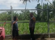 Polsek Labuapi Dorong Diversifikasi Pangan di Desa Kuranji