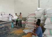 Polsek Gerung Kawal Distribusi Jagung di Desa Beleke