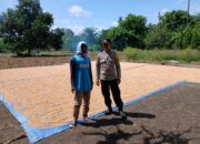 Motivasi dan Pendampingan Bhabinkamtibmas, Petani Mbuju Siap Tingkatkan Produktivitas
