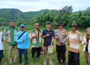 Dukung Ketahanan Pangan, Bhabinkamtibmas Desa Rhee Hadiri Rembuk Tani dan Sosialisasi Pupuk Berimbang