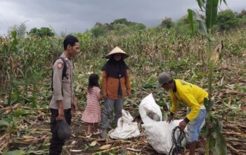 Dukung Indonesia Emas, Bhabinkamtibmas Kilo Aktif Pantau Pertanian Warga