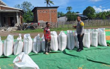 Bhabinkamtibmas Polsek Kempo Pantau Penjemuran Jagung Warga, Dukung Distribusi ke Bulog
