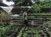 Polri Perkuat Ketahanan Pangan Warga Desa Bengkel Lombok Barat