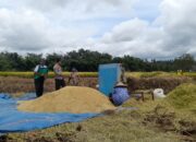 Kapolsek Terara Himbau Petani Tanam Jagung untuk Dukung Ketahanan Pangan
