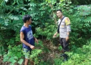 Bhabinkamtibmas Labuapi Dampingi Petani Kelola Lahan Produktif