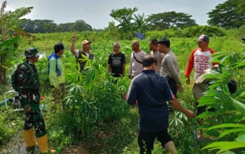 Perkuat Ketahanan Pangan, Bhabinkamtibmas Batulayar Ajak Warga Manfaatkan Lahan Kosong